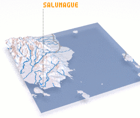 3d view of Salumague