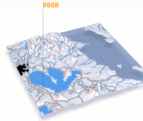 3d view of Pook