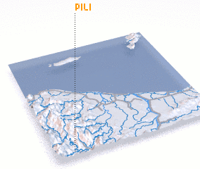 3d view of Pili