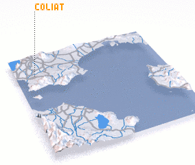 3d view of Coliat