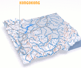 3d view of Kongokong