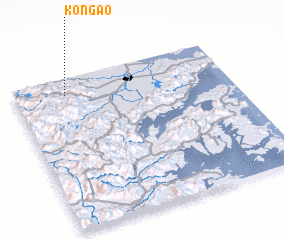 3d view of Kong\