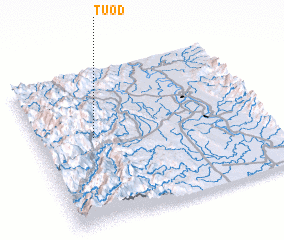 3d view of Tuod