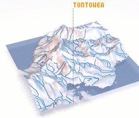 3d view of Tontowea