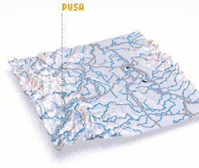3d view of Pusa