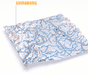 3d view of Guinabong