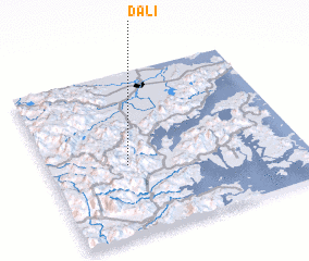 3d view of Dali
