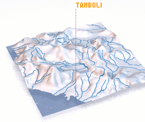 3d view of Tamboli