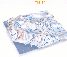3d view of Tosiba