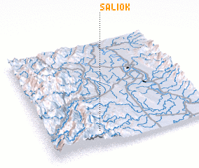 3d view of Saliok