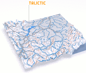 3d view of Talictic