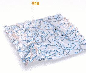 3d view of Uma