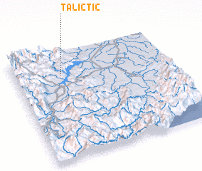 3d view of Talictic