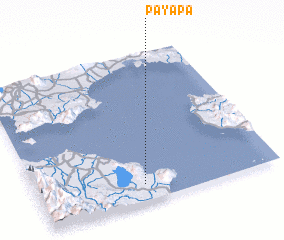 3d view of Payapa