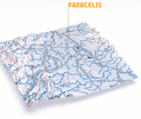 3d view of Paracelis