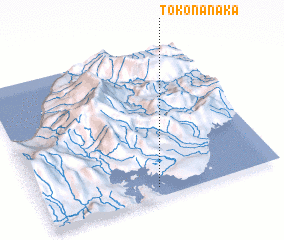 3d view of Tokonanaka