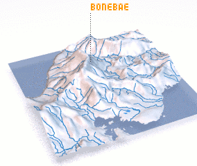 3d view of Bonebae