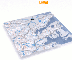 3d view of Lou\