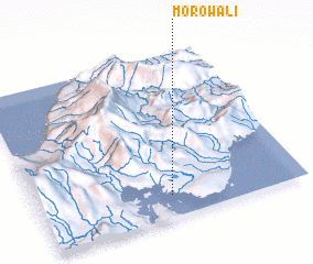 3d view of Morowali