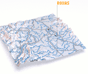 3d view of Roxas