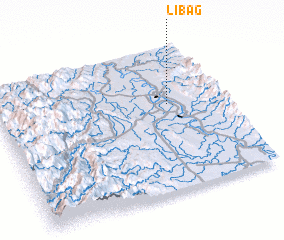 3d view of Libag