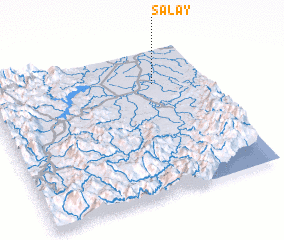 3d view of Salay