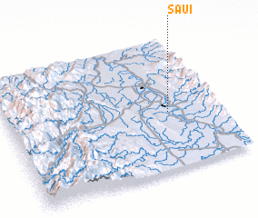 3d view of Saui