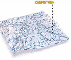 3d view of Carpintero