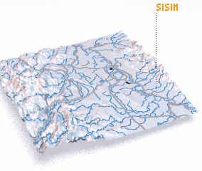 3d view of Sisim