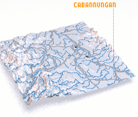 3d view of Cabannungan