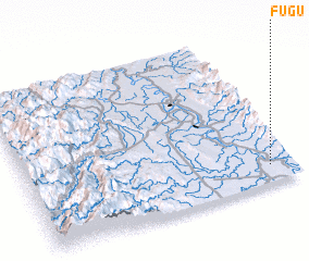 3d view of Fugu