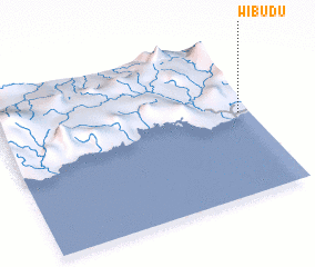 3d view of Wibudu