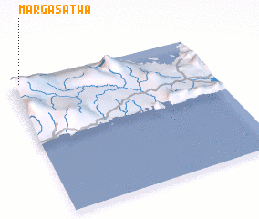 3d view of Margasatwa