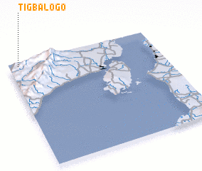 3d view of Tigbalogo