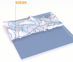 3d view of Durian