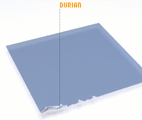 3d view of Durian