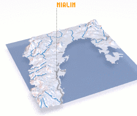 3d view of Mialim