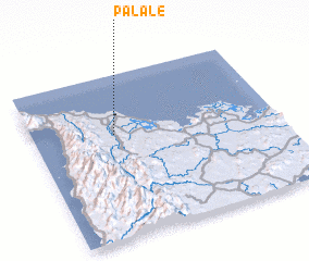 3d view of Palale