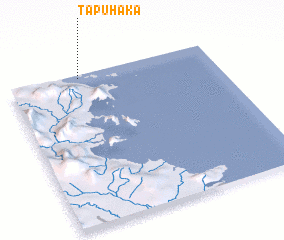 3d view of Tapuhaka