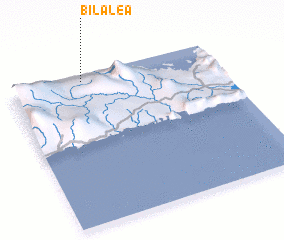 3d view of Bilalea