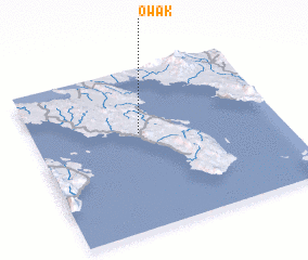 3d view of Owak