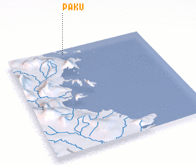 3d view of Paku