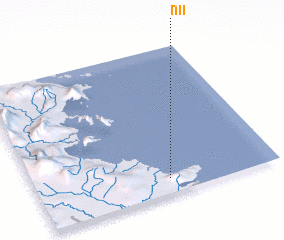 3d view of Nii