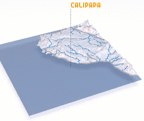 3d view of Calipapa