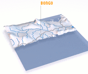 3d view of Bongo