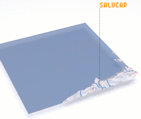 3d view of Salucap