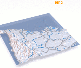 3d view of Piña