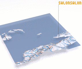 3d view of Salonsalon