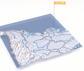 3d view of Buñga