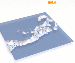 3d view of Wolo